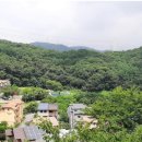 분당-137 이미지