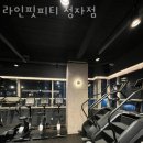 라인핏피티 이미지