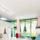 도도하개 이미지