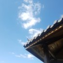 맹동낚시터 이미지