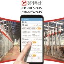 자동축산 이미지