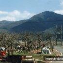 동천교 남쪽 이미지