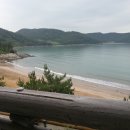 발포해수욕장 이미지