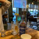 힐링술생활 | 협재 딱새우 맛집 추천 🦐 김씨술생활 솔직 후기