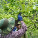 유곡농장 이미지