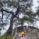 더 바라다(The Barada) | 우연히 가봤던 강화도 역사 유적지 추천 : 가볍게 둘러보기 좋은 역사 명소, 강화 초지진!