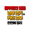 음주운전 벌금 납부 연기 신청 방법과 카드 할부 꿀팁! 이미지