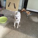 종영농장 이미지