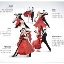 댄스댄스 스포츠댄스 이미지