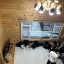 통나무펜션 | 연말 파티로 다녀온 곤지암펜션통나무캠프 후기🎄