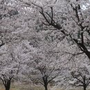 미천공원 이미지