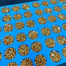 (주)디브레인 이미지