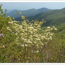 민재여울목산장 이미지