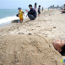 백사장 이미지