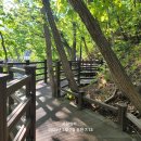 보현산자연휴양림 이미지