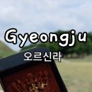 금성로1(동) 네이버블로그