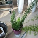 영암축협 한우프라자 이미지