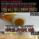 모링가식품카페