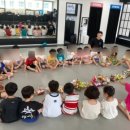 용인대 태권마루 태권도장 이미지