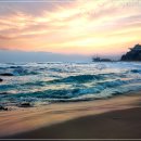 아일랜드리솜 이미지