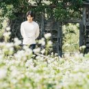 만남 Stay 이미지