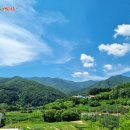 수치골민박 네이버블로그