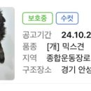 이성준동물병원 이미지