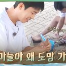 tvN 삼시세끼 LiGHT 2회 이미지