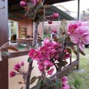 공간민박 이미지