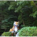 호수담다 이미지