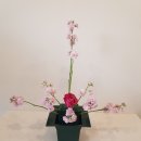 화훼장식 기능사(꽃꽂이) 이미지