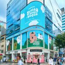 보보 - 홍성군 청사로 146 | 보보