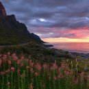 (주)지혜로운세상 이미지