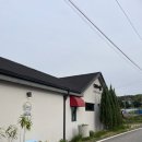 정원과 고양이가 있는 강화도 카페 카페이림, 전등사 3분 거리