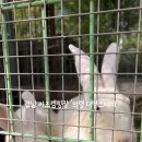 수암로L 이미지