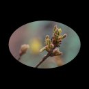 북서울꿈의숲 서문 이미지