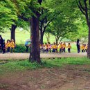 병아리소풍 이미지