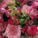 벨로데이 이미지