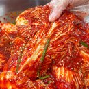 바로담은