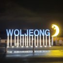 월정씨하루 이미지