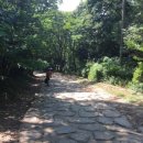 달마스테이 이미지