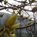 공작산로 이미지