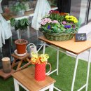 데일리샵 이미지