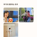 골든타임발란스 이미지
