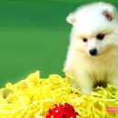 프리타임 이미지