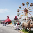 꿈의 동산 이미지