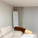 한솔마을.LG아파트 | [로엔커튼]성남시 분당구 정자동커튼 한솔마을LG 인테리어 거실 이중커튼 시공후기!