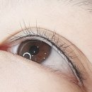 뮤디자인 이미지