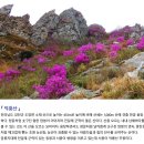 4/5[토무]강진 진달래의 향연 (덕룡+주작+두륜산)-산행안내/좌석표 이미지