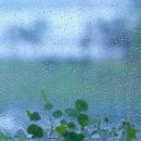 비오는 날의 일기 / 이해인 이미지